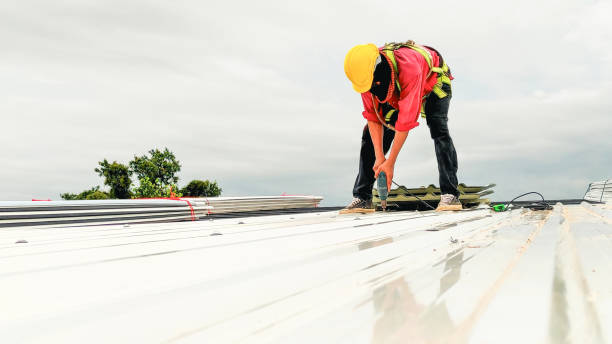 Best Solar Panel Roofing Installation  in Tulia, TX