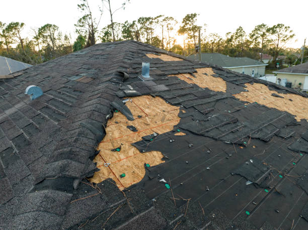 Best Storm Damage Roof Repair  in Tulia, TX