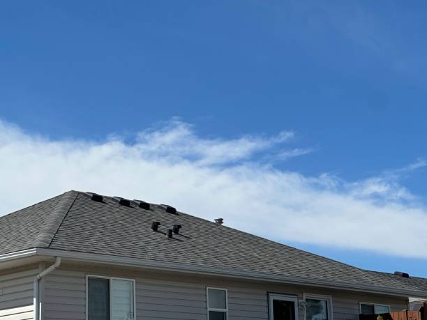 Best Gutter Installation and Repair  in Tulia, TX